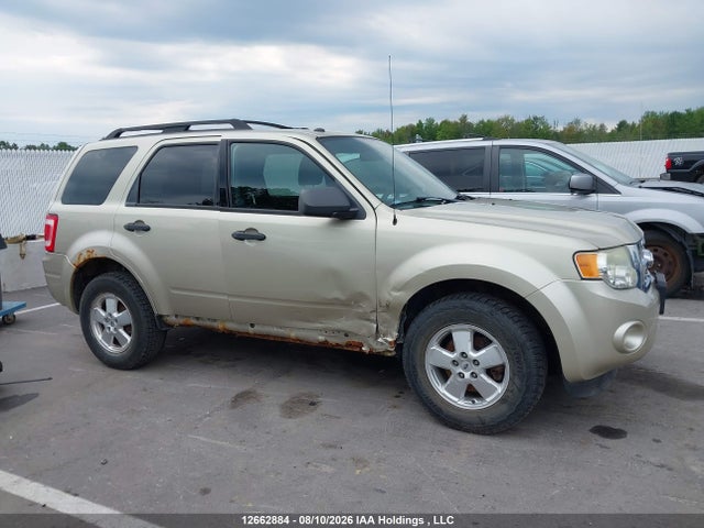 2011 Ford Escape Xlt მანქანა იყიდება აუქციონზე, vin: 1FMCU0DGXBKB86772, აუქციონის ნომერი: 12662884