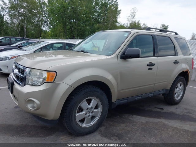 2011 Ford Escape Xlt მანქანა იყიდება აუქციონზე, vin: 1FMCU0DGXBKB86772, აუქციონის ნომერი: 12662884
