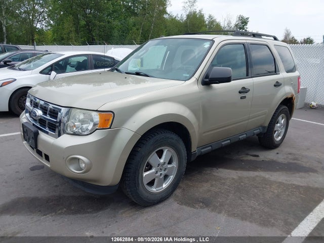 2011 Ford Escape Xlt მანქანა იყიდება აუქციონზე, vin: 1FMCU0DGXBKB86772, აუქციონის ნომერი: 12662884