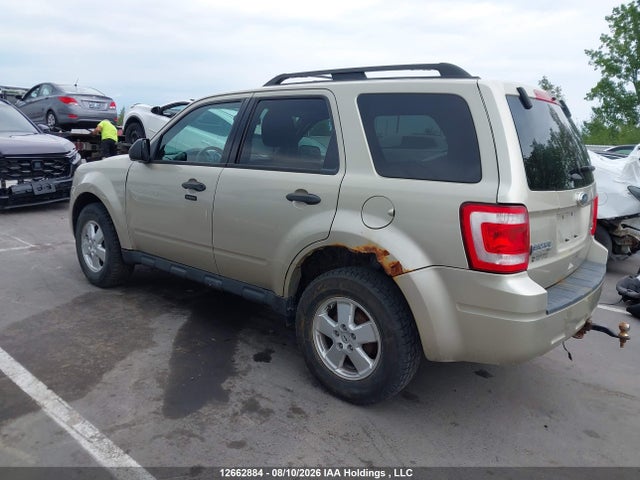 2011 Ford Escape Xlt მანქანა იყიდება აუქციონზე, vin: 1FMCU0DGXBKB86772, აუქციონის ნომერი: 12662884