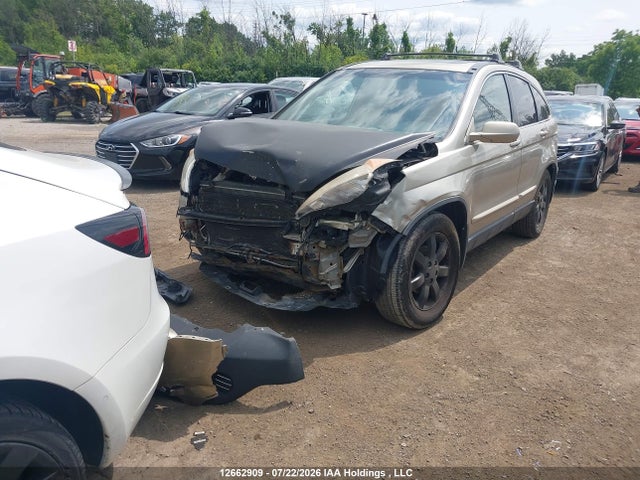 Aukcja sprzedaży 2007 Honda Cr-v Exl, vin: JHLRE48747C076995, numer aukcji: 12662909