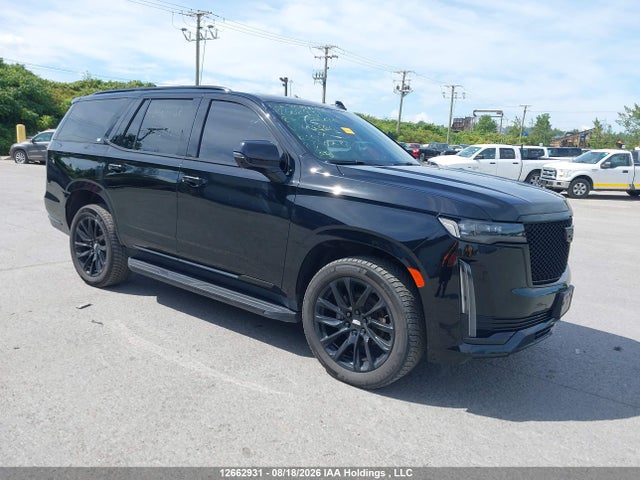 Cadillac Escalade Sport 2023 1GYS4EKL9PR433012 main image