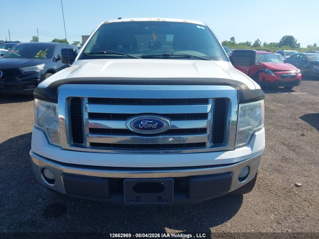 Aukcja sprzedaży 2011 Ford F-150 Xlt, vin: 1FTFX1CF6BFA80545, numer aukcji: 12662969