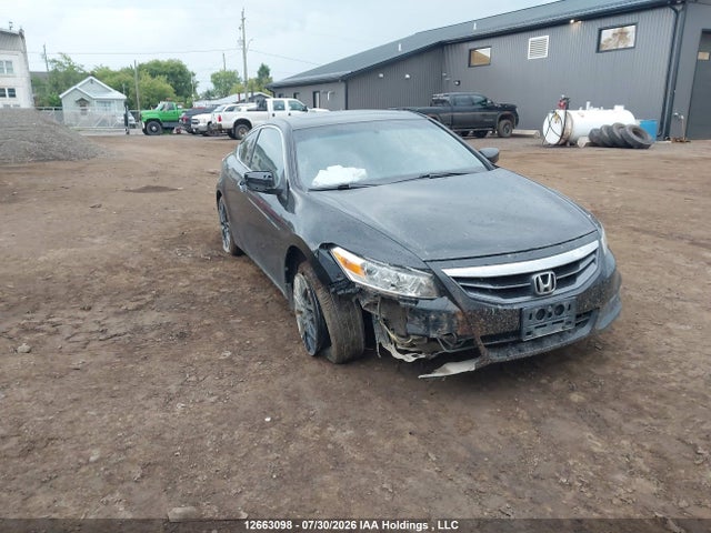 12663098 :رقم المزاد ، 1HGCS1A83BA800842 vin ، 2011 Honda Accord Exl مزاد بيع