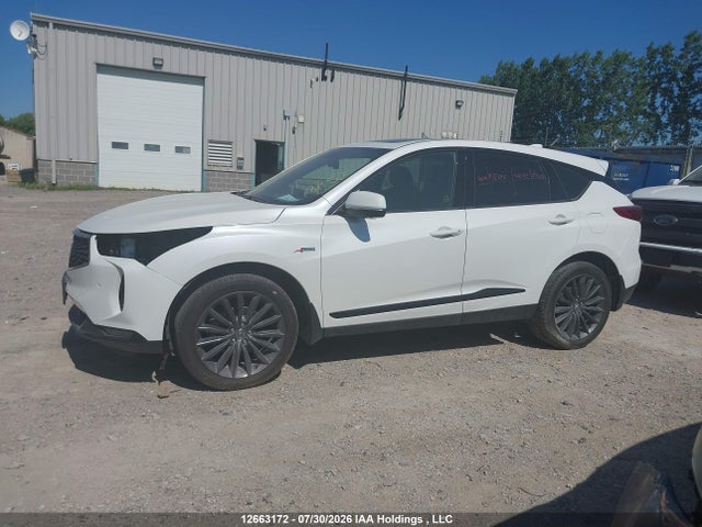 5J8TC2H83PL801963 Acura Rdx Platinum Elite A-spec