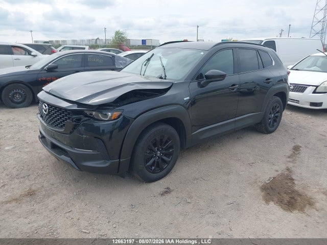 2025 Mazda Cx-50 მანქანა იყიდება აუქციონზე, vin: 7MMVAACW5SN107902, აუქციონის ნომერი: 12663197