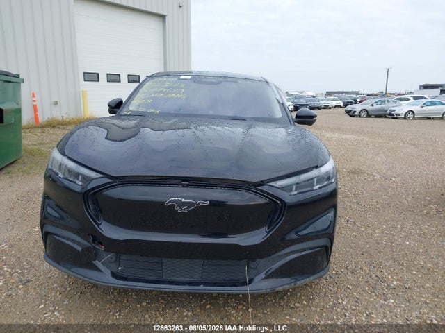 Продаж на аукціоні авто 2025 Ford Mustang Mach-e Premium, vin: 3FMTK3SU7SMA14689, номер лоту: 12663263