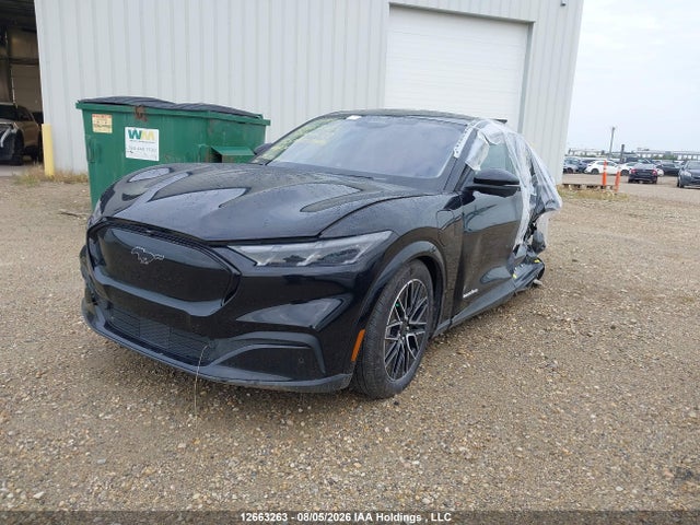Продаж на аукціоні авто 2025 Ford Mustang Mach-e Premium, vin: 3FMTK3SU7SMA14689, номер лоту: 12663263