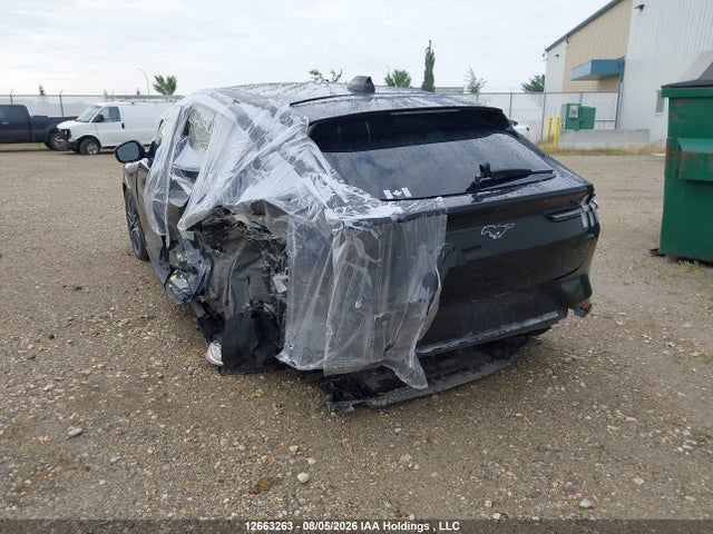 Продаж на аукціоні авто 2025 Ford Mustang Mach-e Premium, vin: 3FMTK3SU7SMA14689, номер лоту: 12663263