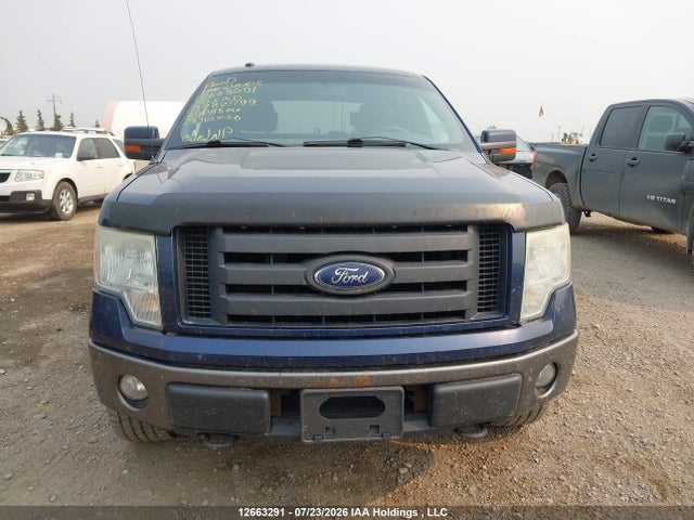 12663291 :رقم المزاد ، 1FTPW14V49FA82799 vin ، 2009 Ford F150 Supercrew مزاد بيع