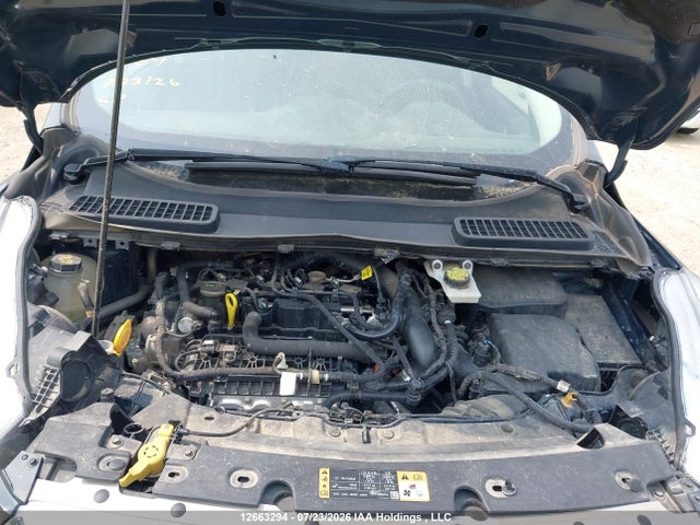Продаж на аукціоні авто 2019 Ford Escape Se, vin: 1FMCU9GD8KUB17492, номер лоту: 12663294