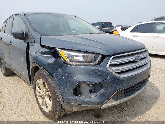 Продаж на аукціоні авто 2019 Ford Escape Se, vin: 1FMCU9GD8KUB17492, номер лоту: 12663294