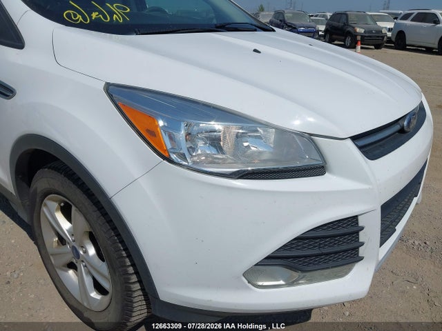 Aukcja sprzedaży 2014 Ford Escape Se, vin: 1FMCU9GX1EUA40642, numer aukcji: 12663309