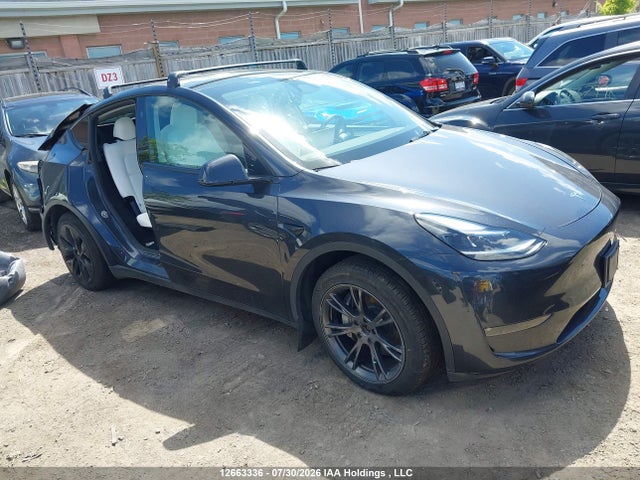 Auction sale of the 2025 Tesla Model Y Long Range, vin: 7SAYGDEE4SF295783, lot number: 12663336