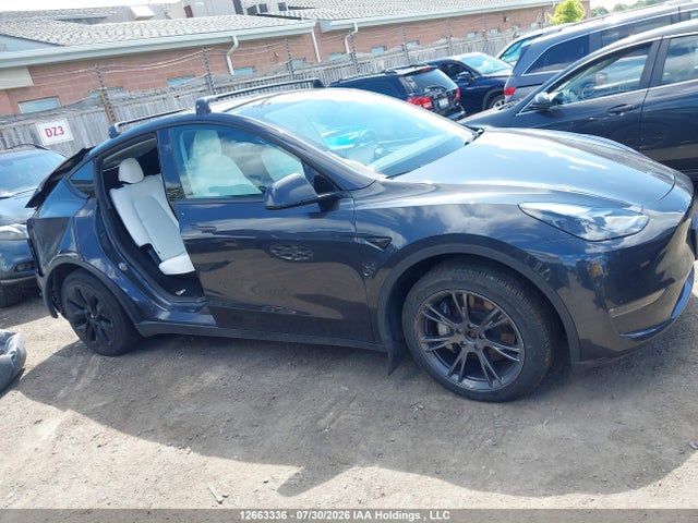 Auction sale of the 2025 Tesla Model Y Long Range, vin: 7SAYGDEE4SF295783, lot number: 12663336