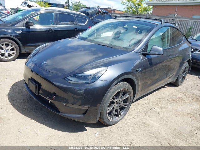 Auction sale of the 2025 Tesla Model Y Long Range, vin: 7SAYGDEE4SF295783, lot number: 12663336