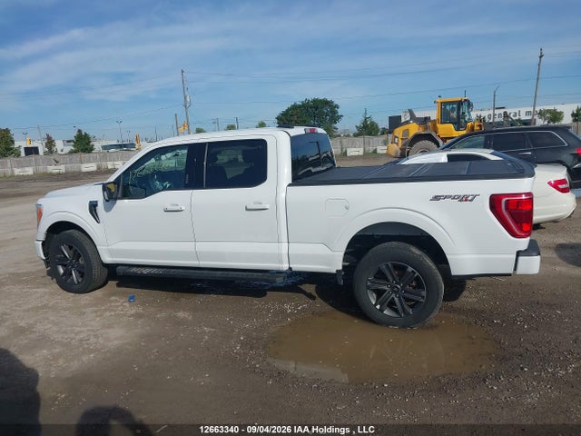 Продажа на аукционе авто 2023 Ford F150 Supercrew, vin: 1FTFW1E82PFC46679, номер лота: 12663340
