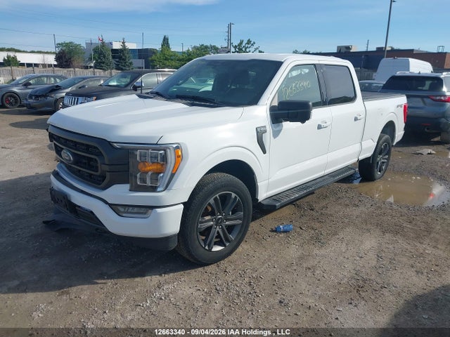 Продажа на аукционе авто 2023 Ford F150 Supercrew, vin: 1FTFW1E82PFC46679, номер лота: 12663340