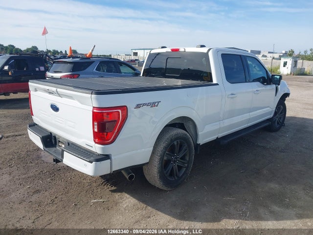 Продажа на аукционе авто 2023 Ford F150 Supercrew, vin: 1FTFW1E82PFC46679, номер лота: 12663340