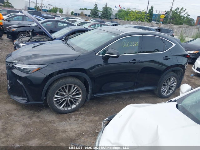Продажа на аукционе авто 2024 Lexus Nx 350, vin: 2T2GGCEZ7RC059855, номер лота: 12663375