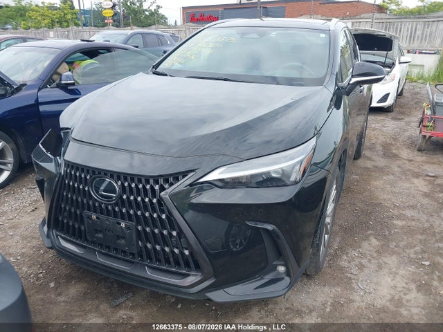 Продажа на аукционе авто 2024 Lexus Nx 350, vin: 2T2GGCEZ7RC059855, номер лота: 12663375