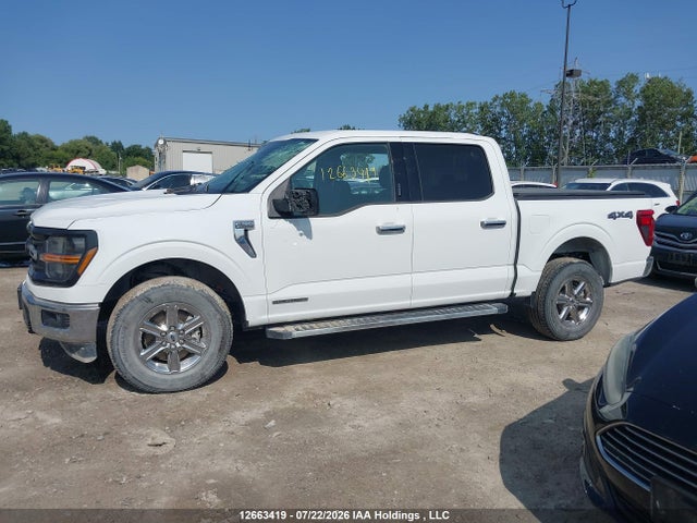 Ford F150 Xlt 2024 1FTFW3LD6RFA45060 Image 13