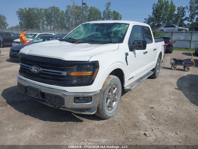 Ford F150 Xlt 2024 1FTFW3LD6RFA45060 Image 2