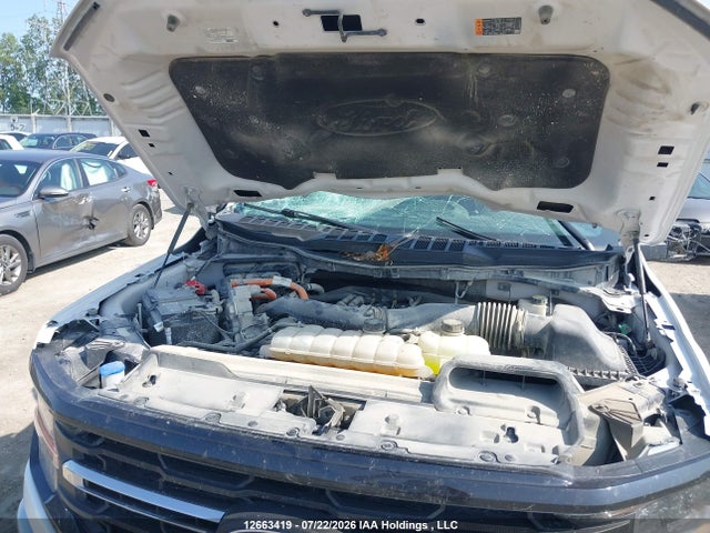 Ford F150 Xlt 2024 1FTFW3LD6RFA45060 Image 9