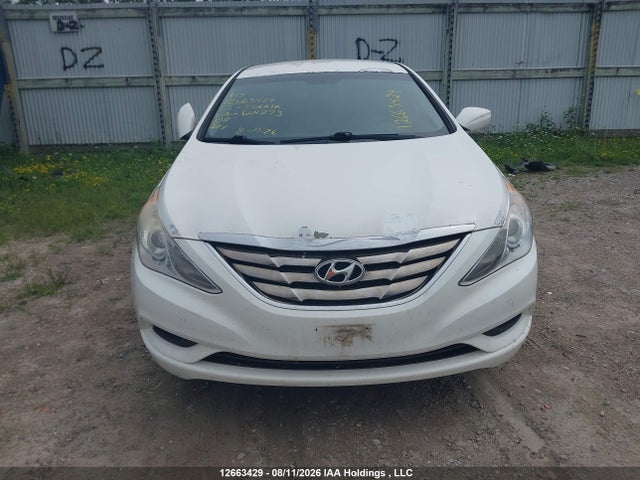 12663429 :رقم المزاد ، 5NPEB4AC6DH604273 vin ، 2013 Hyundai Sonata Gl مزاد بيع