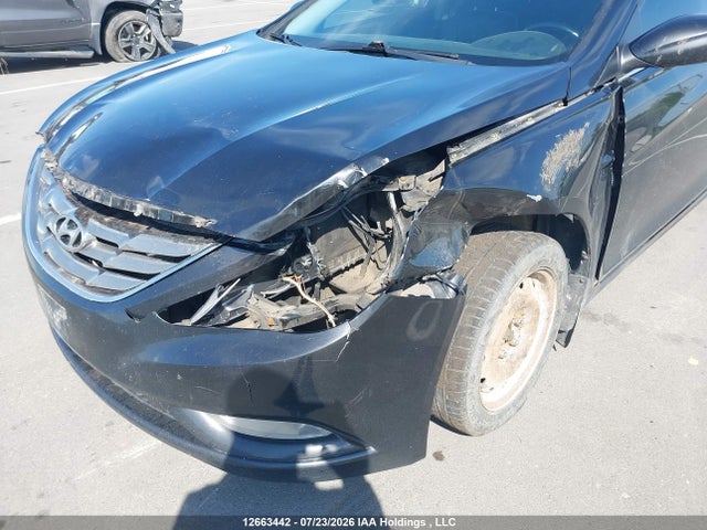Продаж на аукціоні авто 2013 Hyundai Sonata Se, vin: 5NPEC4ACXDH542177, номер лоту: 12663442