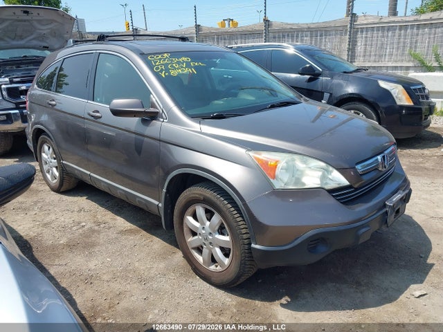 Продажа на аукционе авто 2009 Honda Cr-v Ex-l, vin: 5J6RE48719L814391, номер лота: 12663490