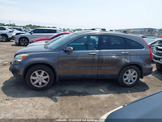 2009 Honda Cr-v Ex-l მანქანა იყიდება აუქციონზე, vin: 5J6RE48719L814391, აუქციონის ნომერი: 12663490