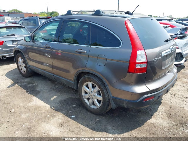 2009 Honda Cr-v Ex-l მანქანა იყიდება აუქციონზე, vin: 5J6RE48719L814391, აუქციონის ნომერი: 12663490