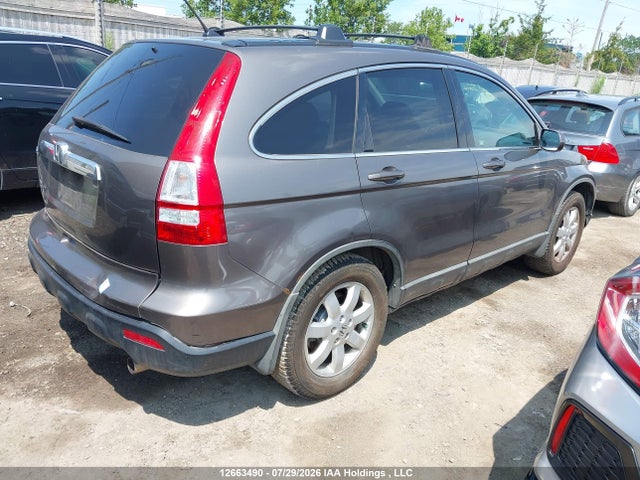 2009 Honda Cr-v Ex-l მანქანა იყიდება აუქციონზე, vin: 5J6RE48719L814391, აუქციონის ნომერი: 12663490