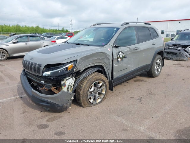 Jeep Cherokee Trailhawk 2019 1C4PJMBX0KD480145 Image 2