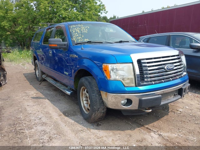 12663677 :رقم المزاد ، 1FTFW1ETXCFB76332 vin ، 2012 Ford F-150 مزاد بيع