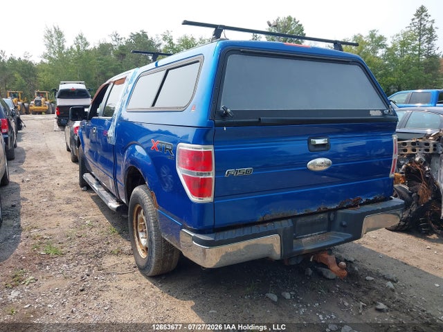 12663677 :رقم المزاد ، 1FTFW1ETXCFB76332 vin ، 2012 Ford F-150 مزاد بيع