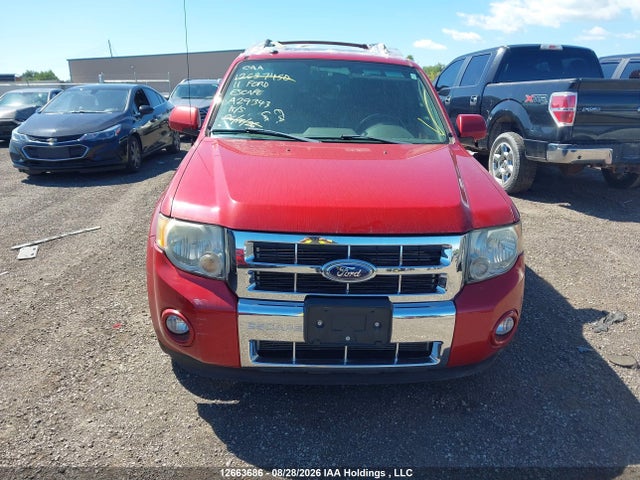 2011 Ford Escape Limited მანქანა იყიდება აუქციონზე, vin: 1FMCU9EGXBKA29343, აუქციონის ნომერი: 12663686