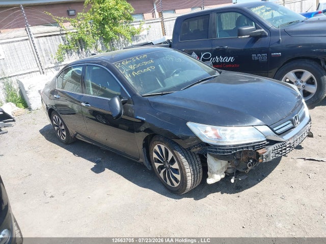 2014 Honda Accord Touring Hybrid მანქანა იყიდება აუქციონზე, vin: 1HGCR6F77EA800307, აუქციონის ნომერი: 12663705