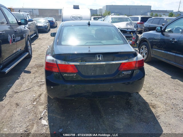 2014 Honda Accord Touring Hybrid მანქანა იყიდება აუქციონზე, vin: 1HGCR6F77EA800307, აუქციონის ნომერი: 12663705