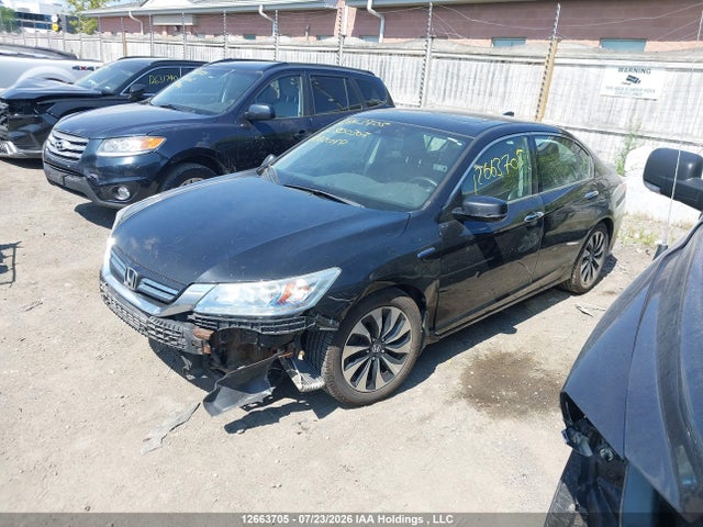 2014 Honda Accord Touring Hybrid მანქანა იყიდება აუქციონზე, vin: 1HGCR6F77EA800307, აუქციონის ნომერი: 12663705