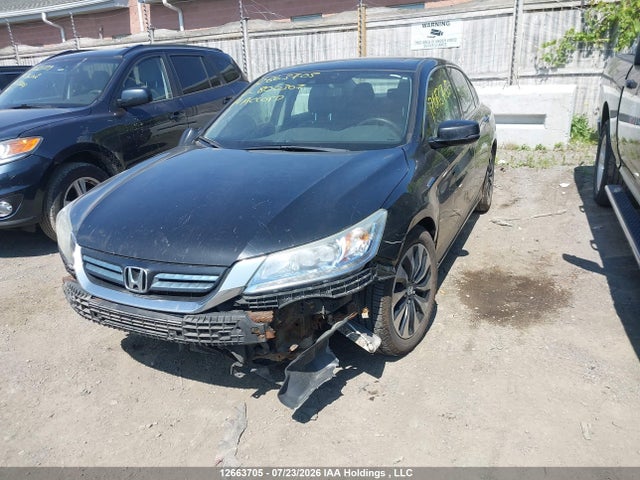 2014 Honda Accord Touring Hybrid მანქანა იყიდება აუქციონზე, vin: 1HGCR6F77EA800307, აუქციონის ნომერი: 12663705