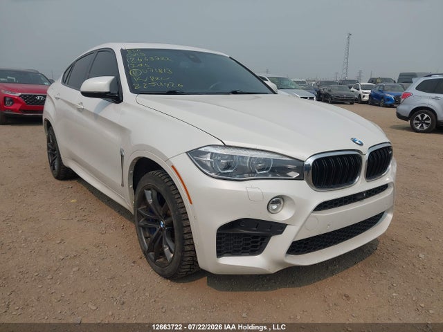 BMW X6 M 2017 5YMKW8C36H0U71813 Image 6