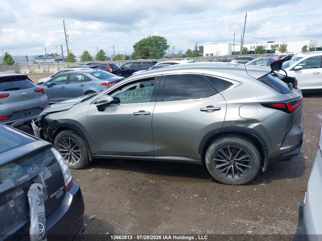 Продажа на аукционе авто 2024 Lexus Nx 350h 350h, vin: 2T2GKCEZ5RC027002, номер лота: 12663813