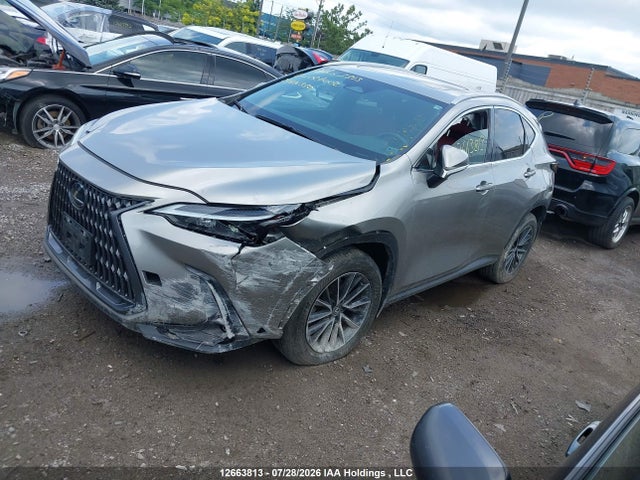 Продажа на аукционе авто 2024 Lexus Nx 350h 350h, vin: 2T2GKCEZ5RC027002, номер лота: 12663813