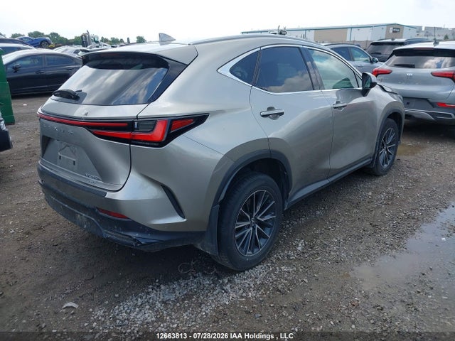 Продажа на аукционе авто 2024 Lexus Nx 350h 350h, vin: 2T2GKCEZ5RC027002, номер лота: 12663813