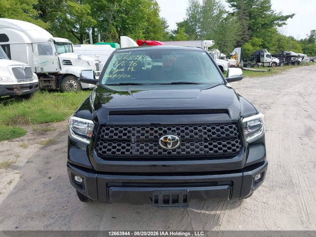 5TFAY5F10MX047696 Toyota Tundra Platinum