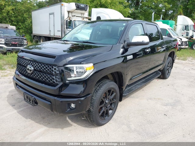 5TFAY5F10MX047696 Toyota Tundra Platinum