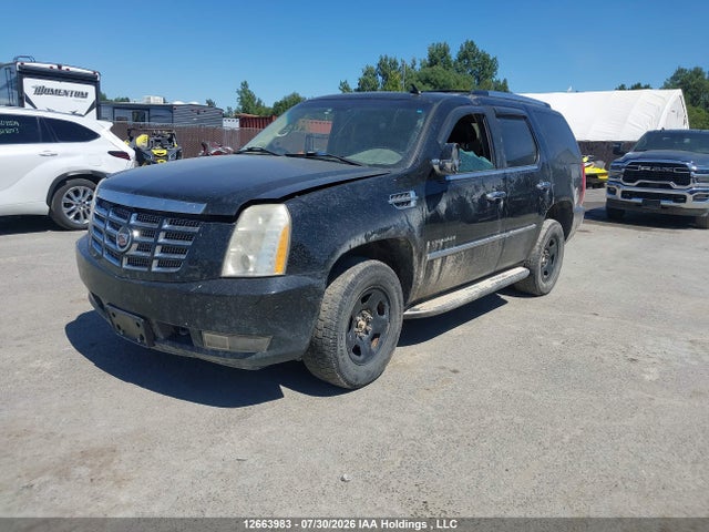 12663983 :رقم المزاد ، 1GYFK63838R158407 vin ، 2008 Cadillac Escalade Standard مزاد بيع