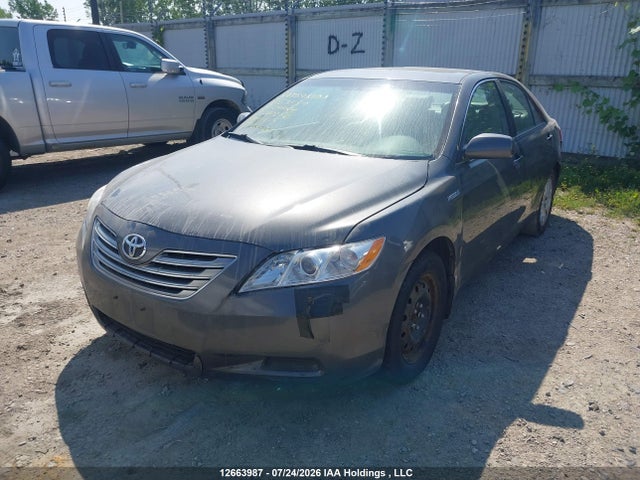 12663987 :رقم المزاد ، 4T1BB46K59U080254 vin ، 2009 Toyota Camry Hybrid مزاد بيع